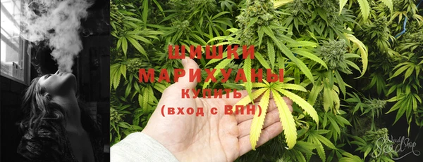 трава Алзамай