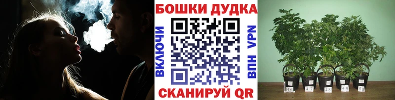 купить наркотик  Чишмы  Марихуана индика 